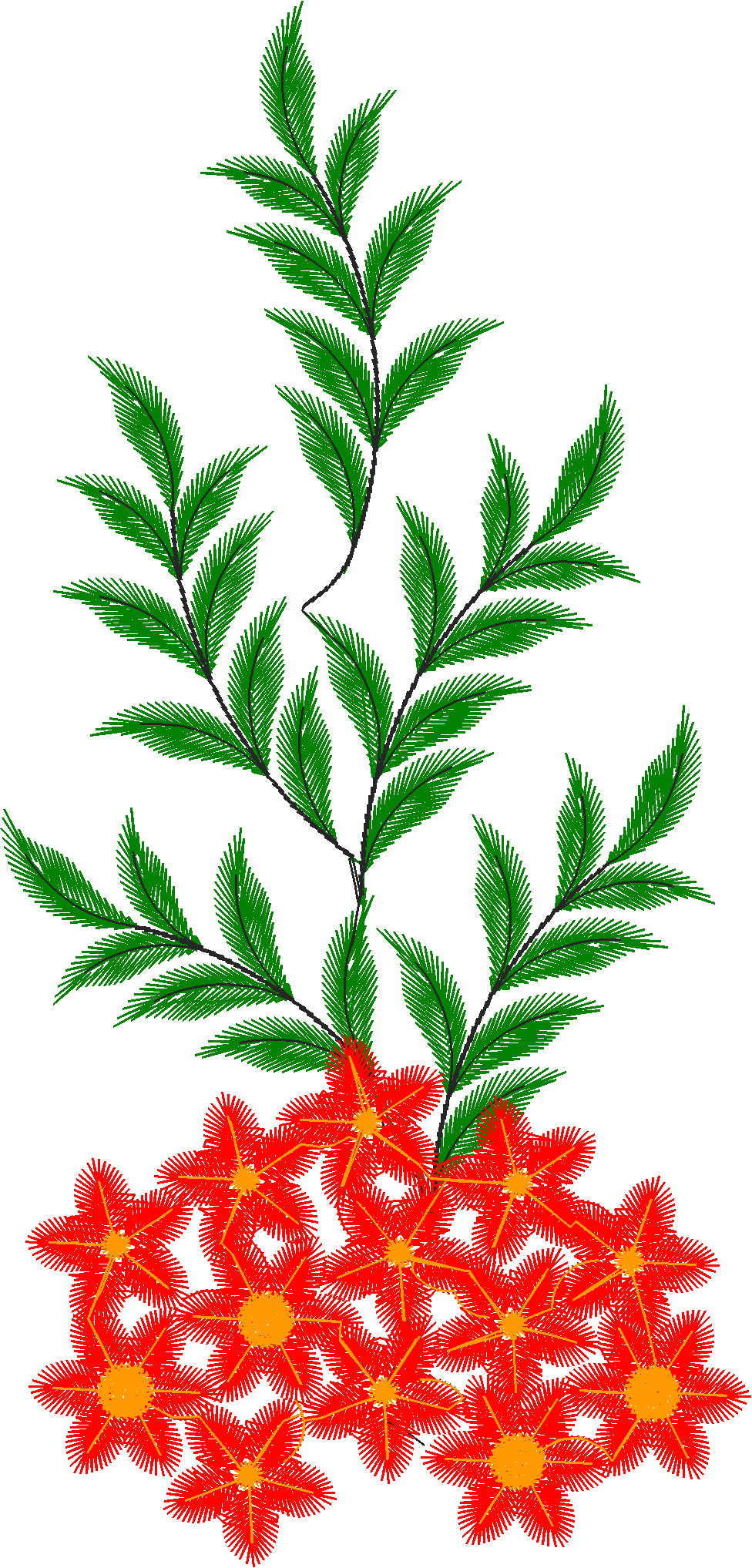 Flores - 6